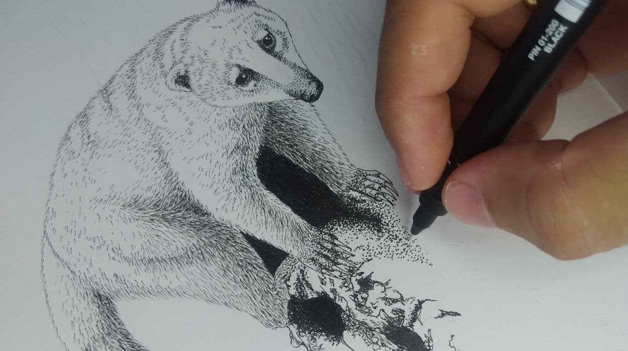 Biólogo goiano usa ilustração científica para aproximar brasileiros da fauna nativa